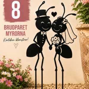 Myra nr 26 — Brudparet