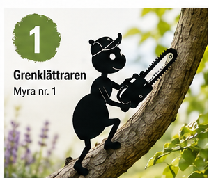 Myra nr 1 – Grenklättraren