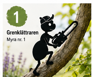 Myra nr 1 – Grenklättraren