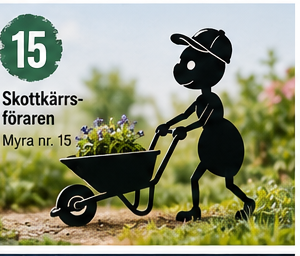Myra nr 15 – Skottkärran