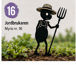 Myra nr 16 – Jordbrukaren