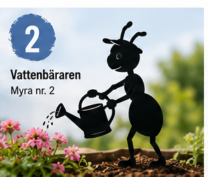Myra nr 2 – Vattenbäraren